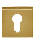 BOCALLAVE ROSETA #53 PVD ORO BASICS BSQY53